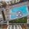 Arabelle Pool